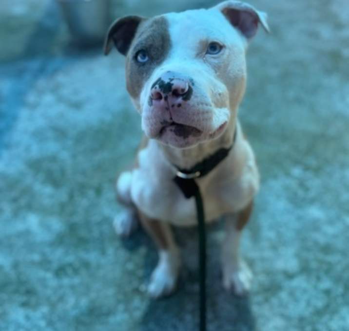Photo of Kilo
