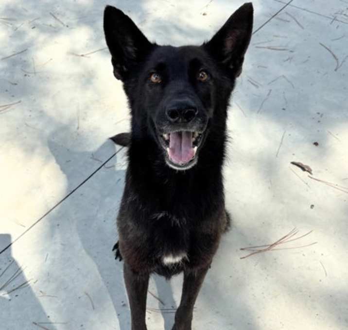 Photo of Tila 25-D0329