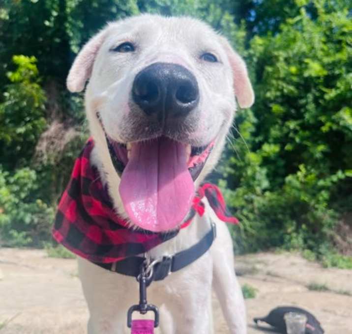 Photo of Clifford