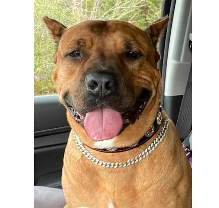 Photo of RUBY