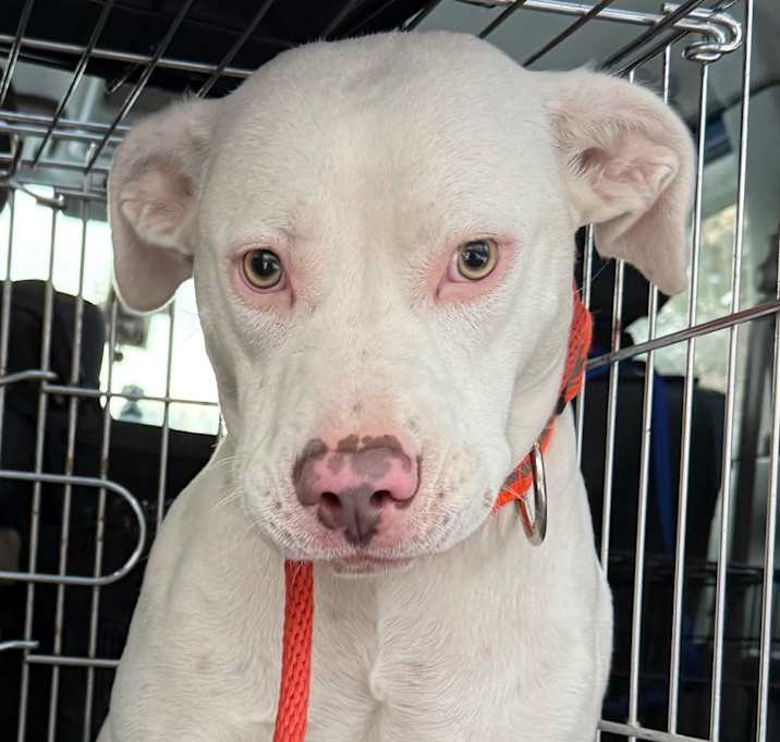 Photo of Stormie Stormy