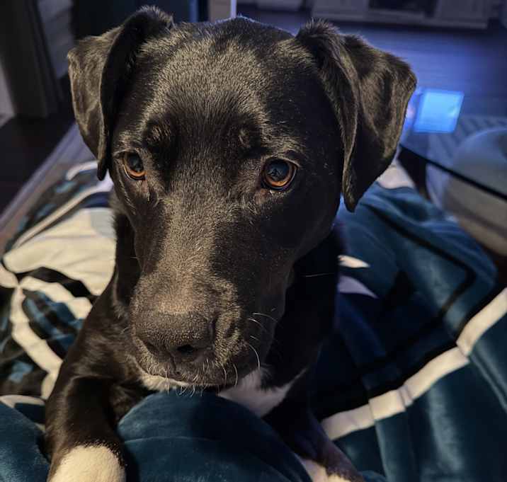 Photo of Bruce