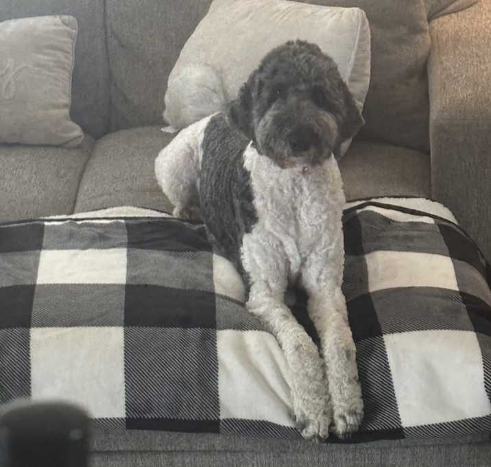 Photo of Molly
