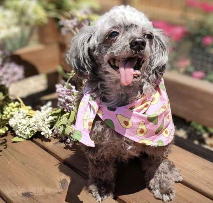 Photo of Eloise