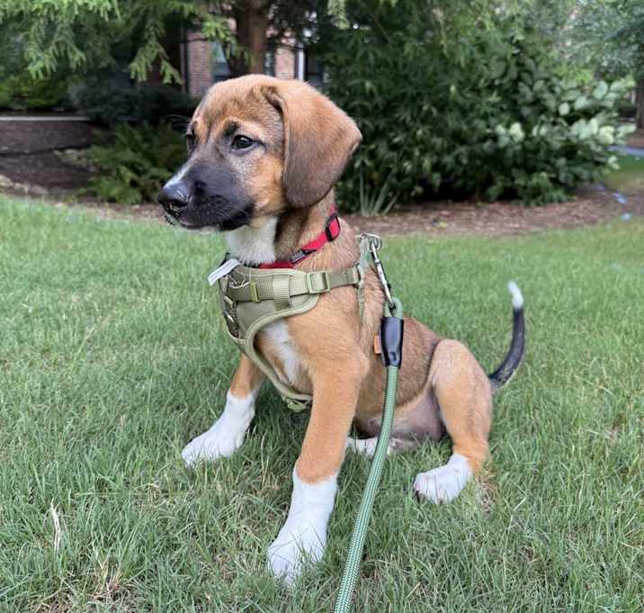 Photo of Bucky