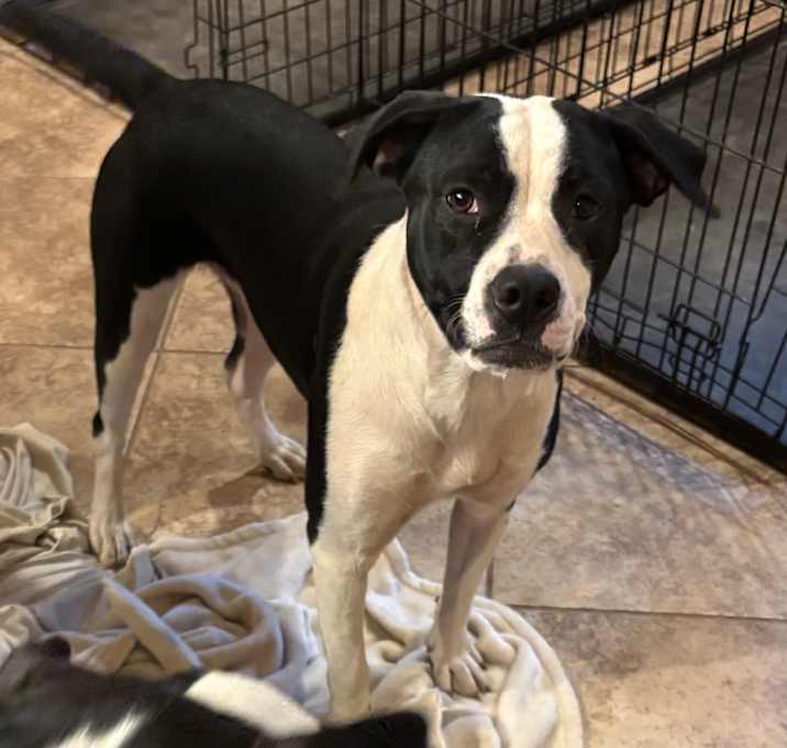 Photo of Dottie