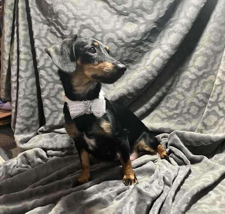 Photo of Lulu