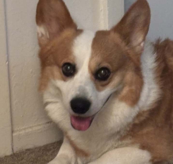 Photo of Ben