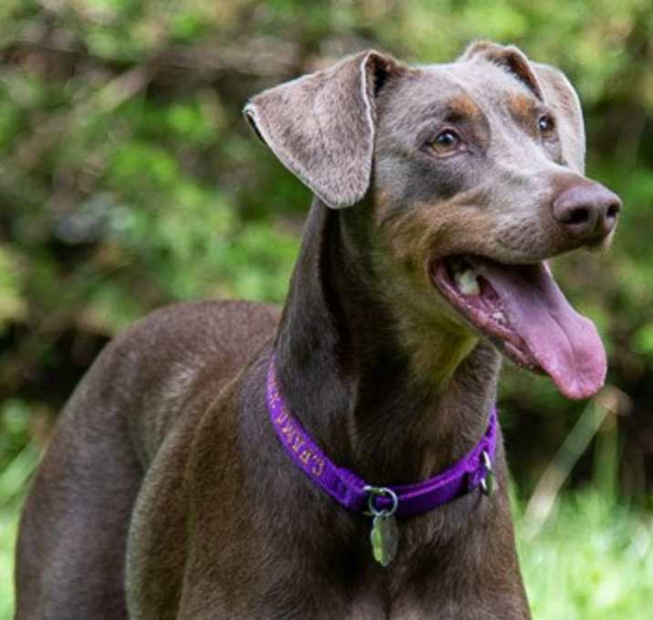 Photo of NYAH