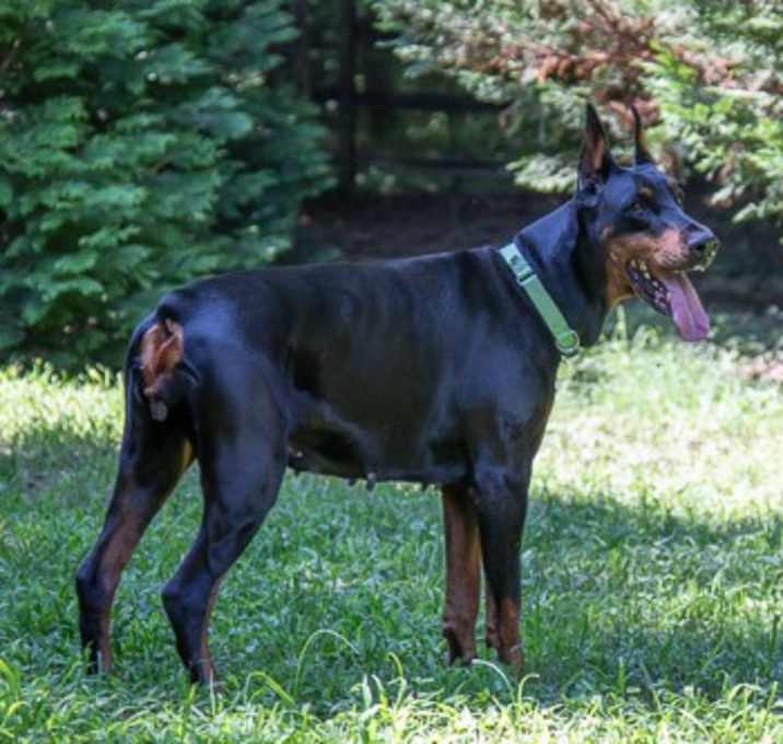 Photo of LIZA
