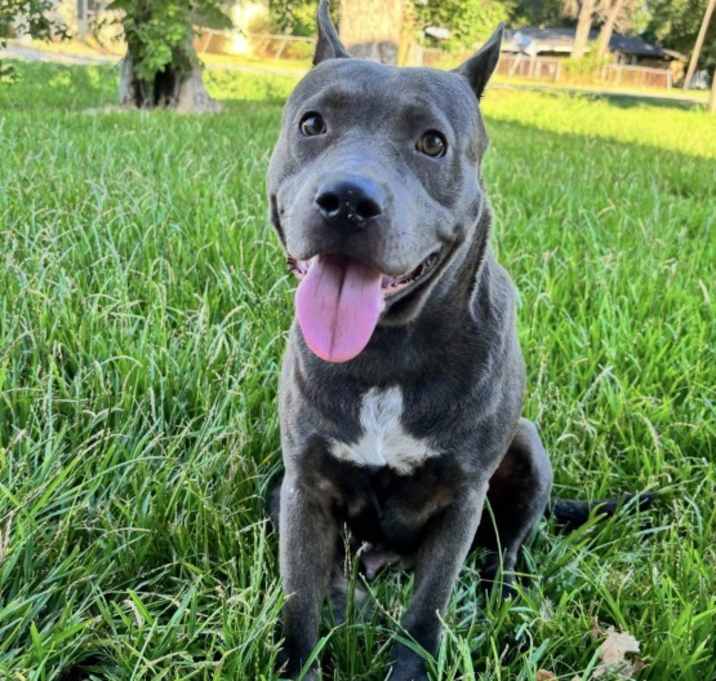 Photo of Diamond