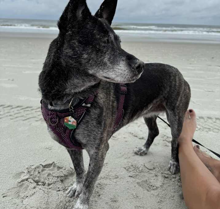Photo of Chloe