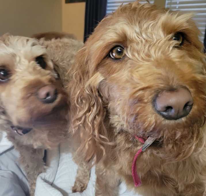 Photo of Rosie and Lila