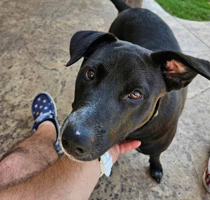 Photo of Bruce