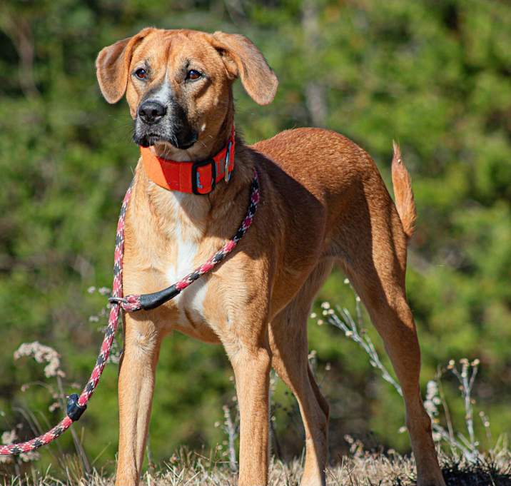 Photo of Chloe