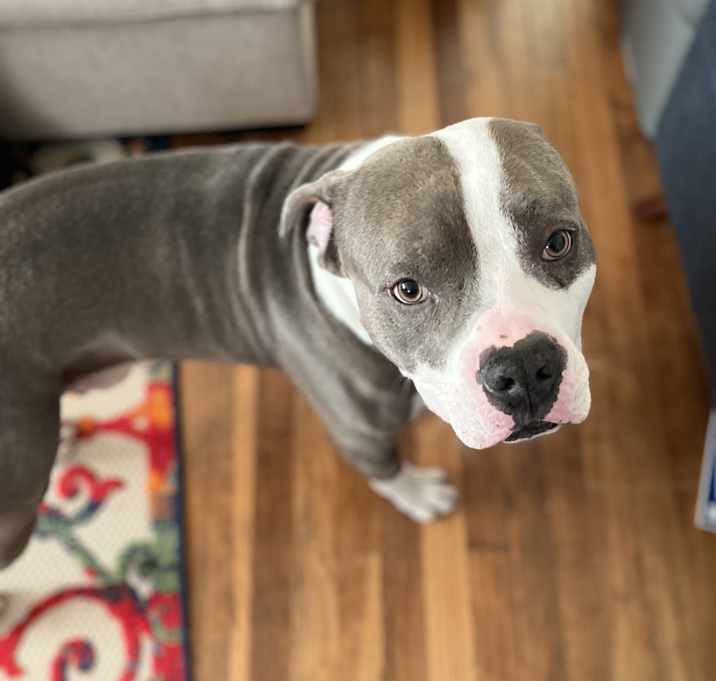 Photo of Butter