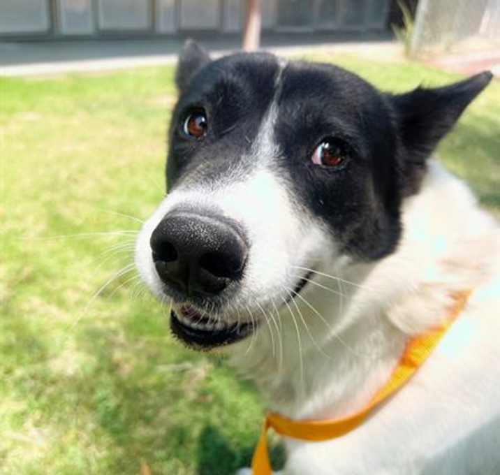 Photo of BEAUFORD