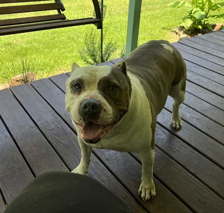 Photo of Athena