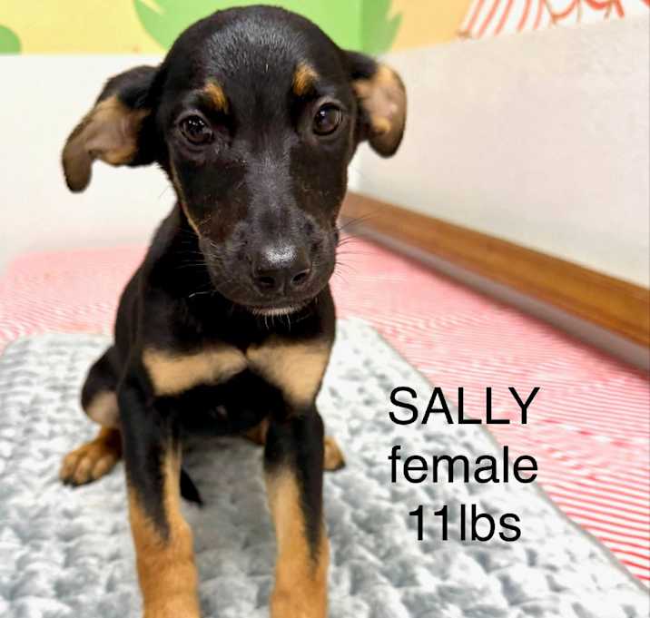 Photo of Sally
