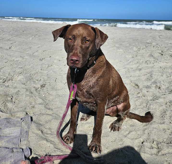 Photo of Sophie