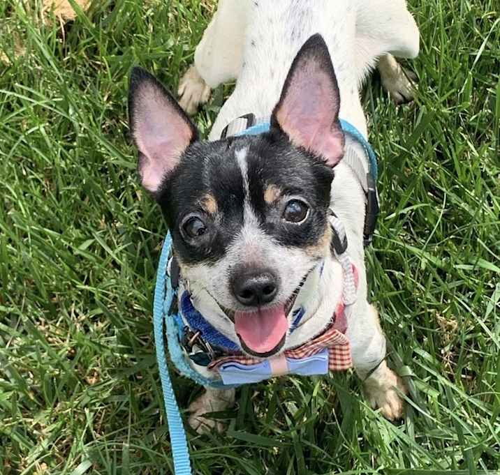 Photo of Zuri