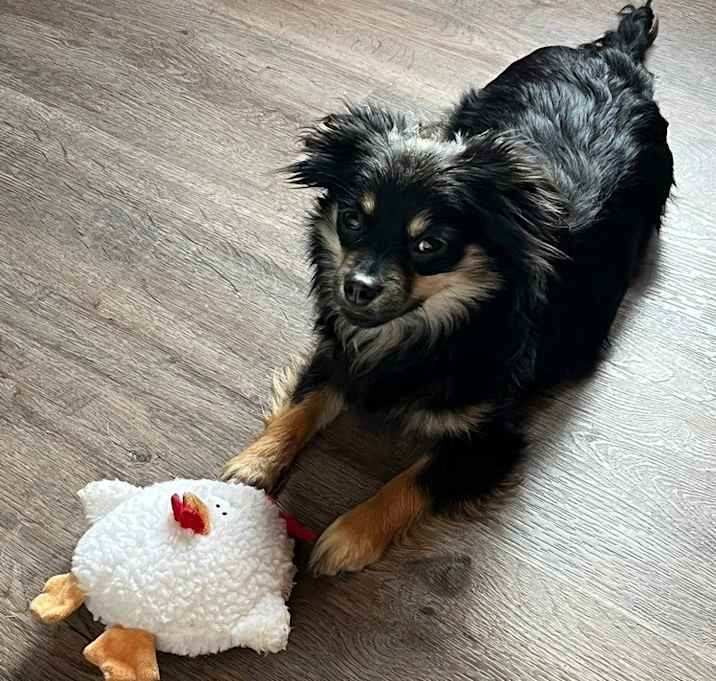 Photo of Lzzy Louise Hale (aka Lulu)