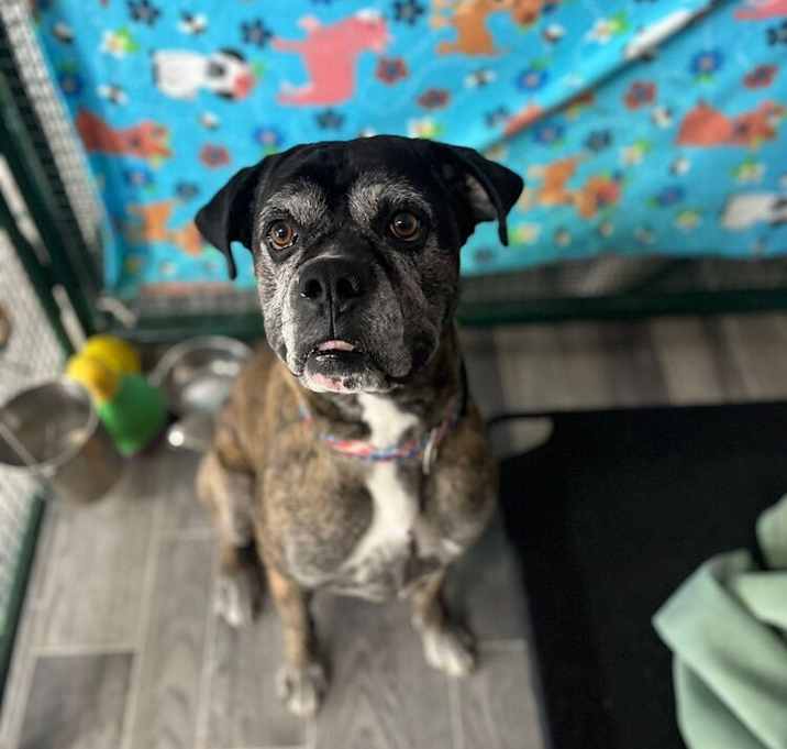 Photo of Capone