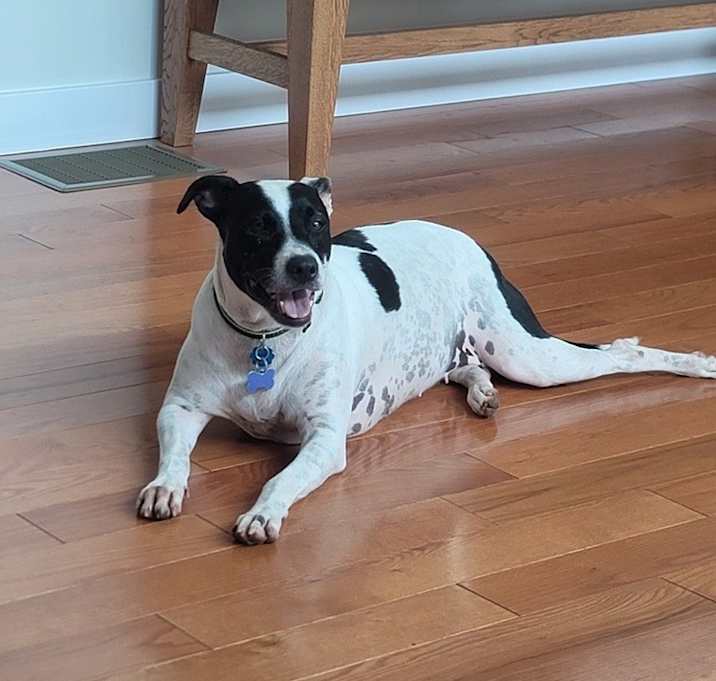 Photo of Skye