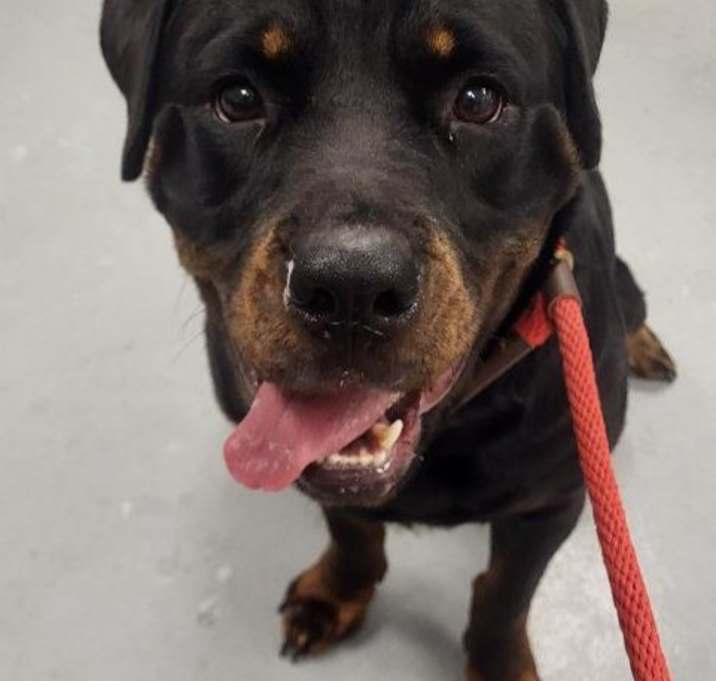 Photo of MOCHA