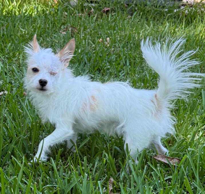 Photo of RALPHIE