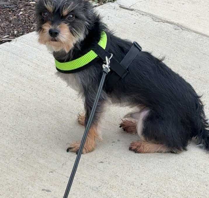 Photo of Toto