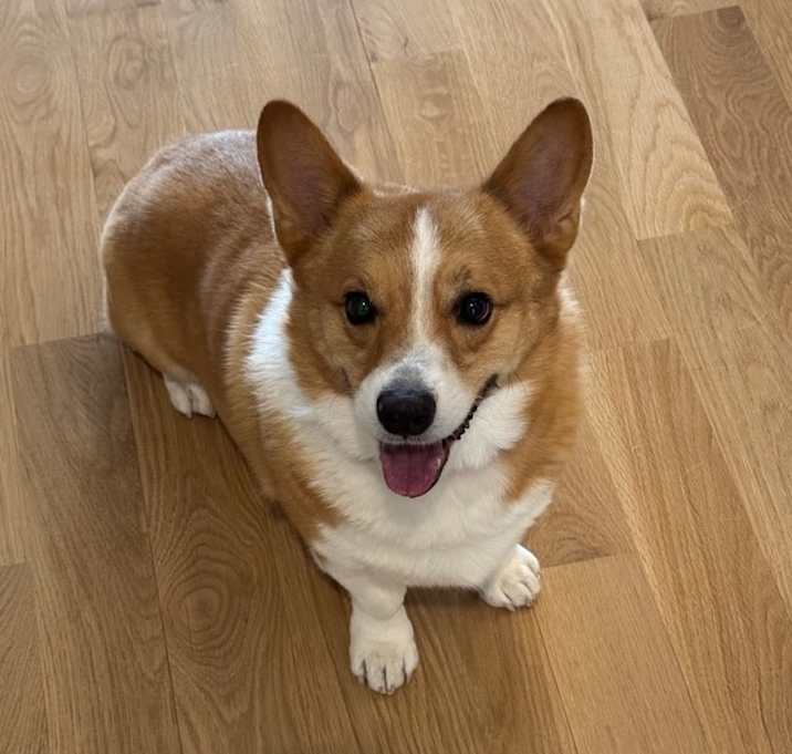 Photo of Arthur