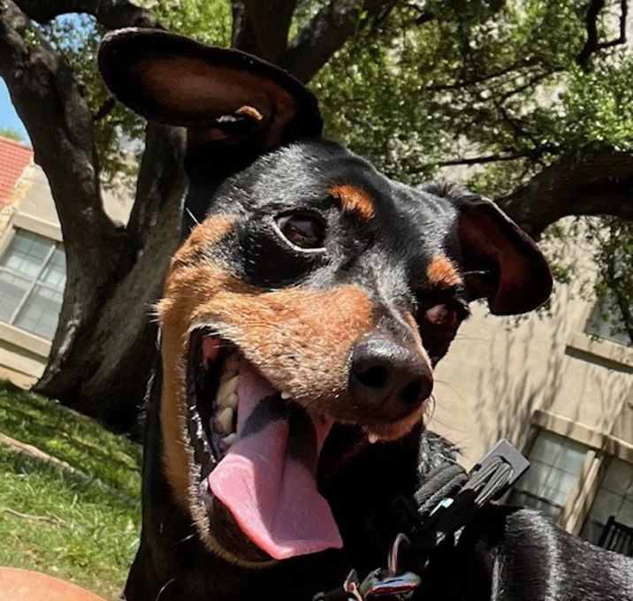 Photo of Grayson