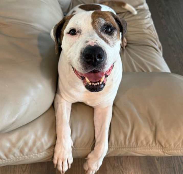 Photo of CHANCE
