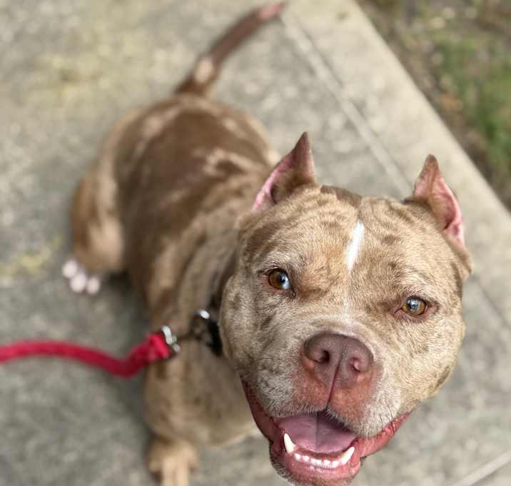 Photo of Roxie