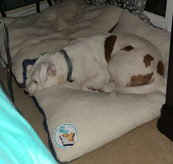 Photo of Walter