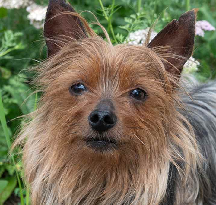 Photo of Geoffrey