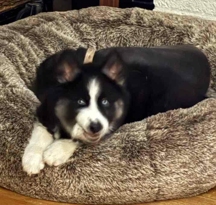 Photo of Mia