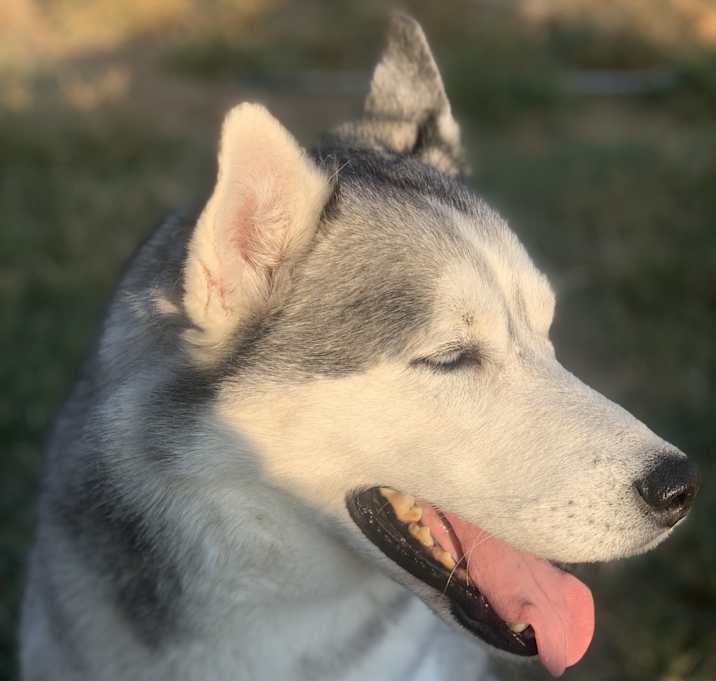 Photo of Mya