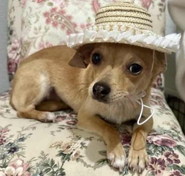 Photo of Chloe
