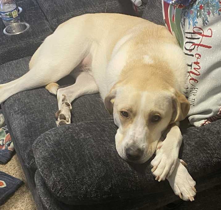 Photo of Buster