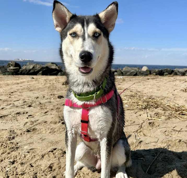Photo of Xena