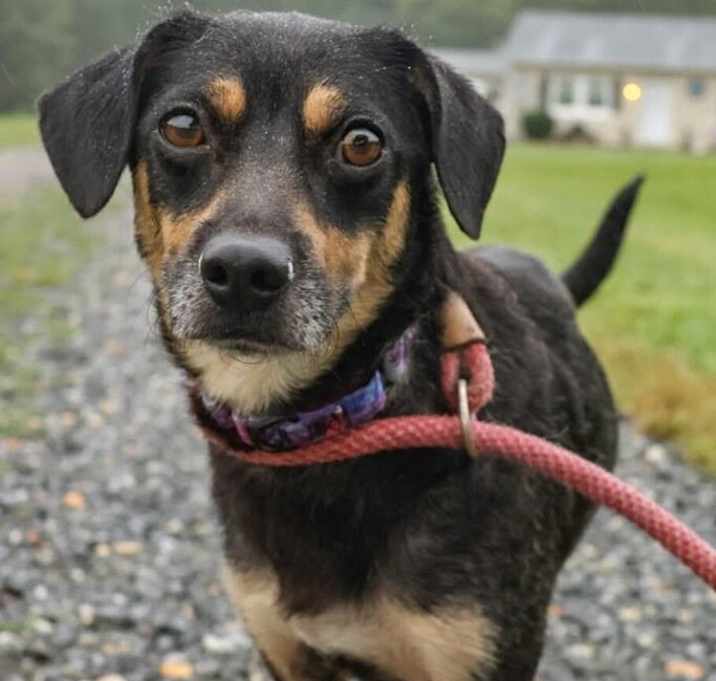 Photo of Penelope