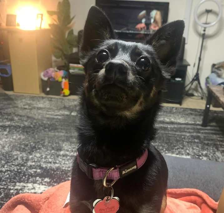 Photo of Olivia-Rose