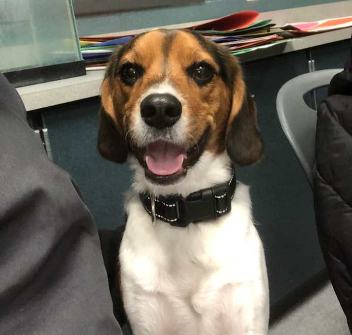 Photo of Jax