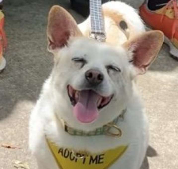 Photo of Mack