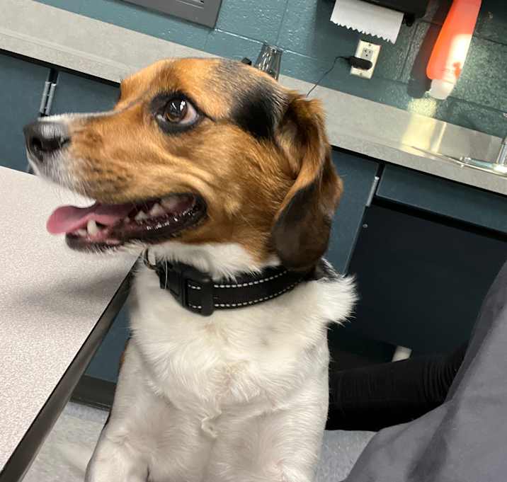 Photo of Jax