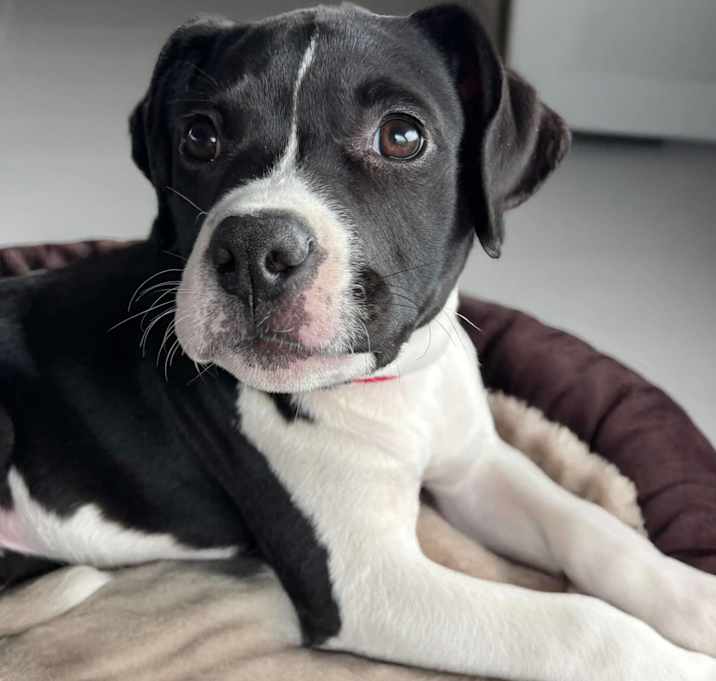 Photo of Marbles