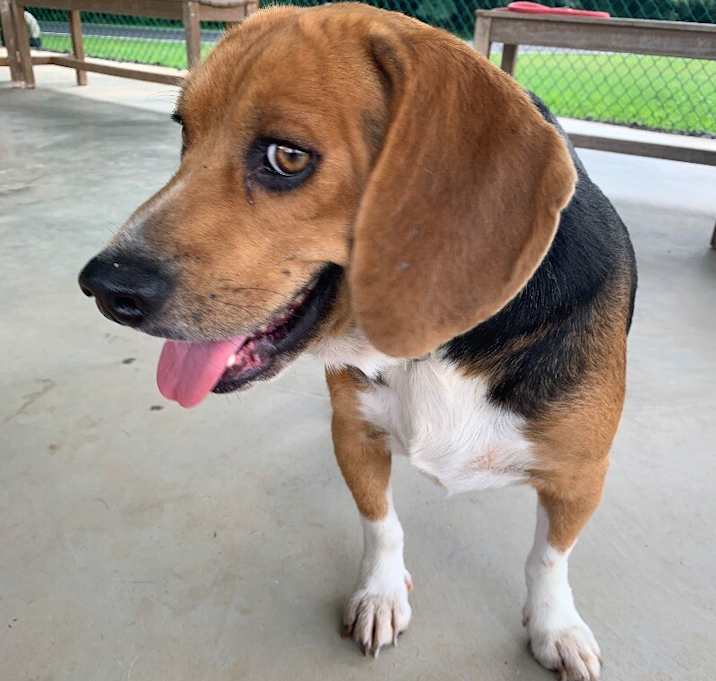Photo of Blueberry