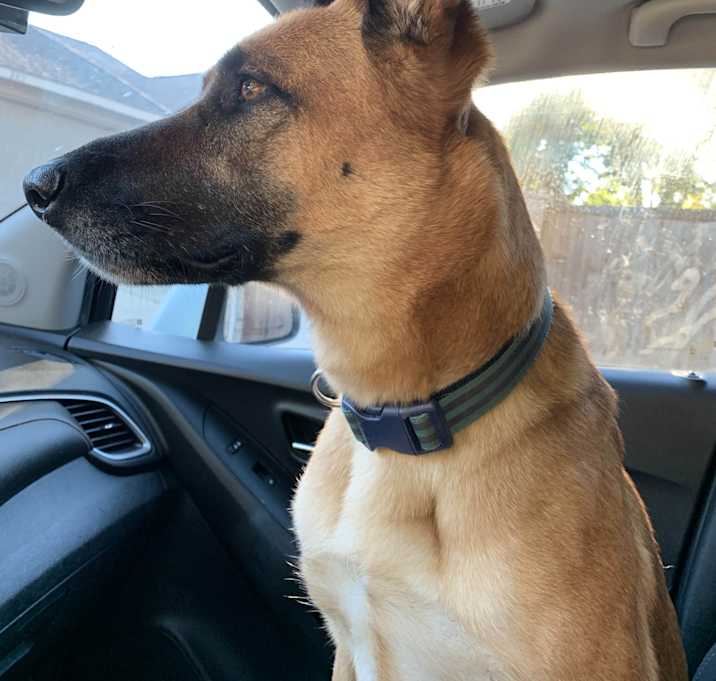 Photo of Maya